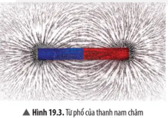 Nhận xét về hình dạng sắp xếp mạt sắt ở xung quanh nam châm Cau Hoi Thao Luan 3 Trang 95 Khtn 7 Chan Troi 133832