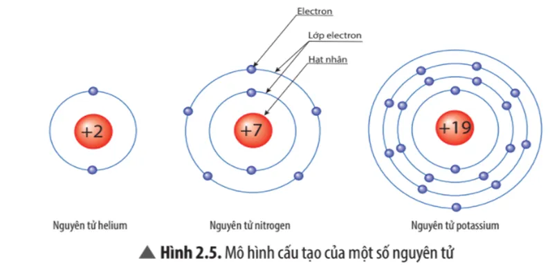 Quan sát Hình 2.5, hãy cho biết nguyên tử nitrogen và potassium Cau Hoi Thao Luan 4 Trang 15 Khtn 7 Chan Troi 133621