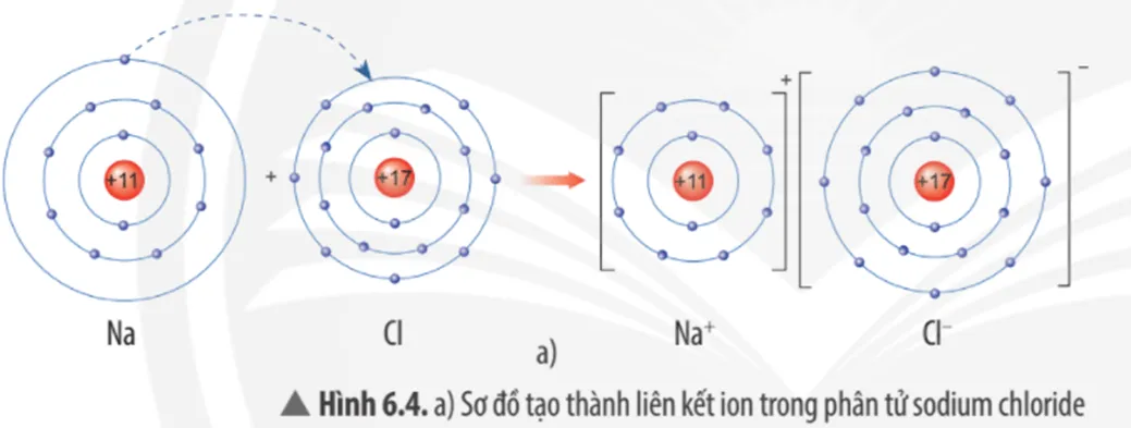 Quan sát Hình 6.4a, em hãy mô tả quá trình tạo thành liên kết ion trong phân tử sodium chloride Cau Hoi Thao Luan 4 Trang 39 Khtn 7 Chan Troi 133676