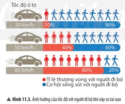 Quan sát Hình 11.3 và cho biết ảnh hưởng của tốc độ với người đi bộ khi xảy ra tai nạn Cau Hoi Thao Luan 4 Trang 63 Khtn 7 Chan Troi 133757