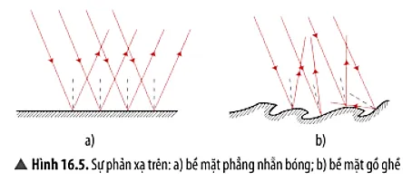 Nêu nhận xét về hướng của các tia sáng phản xạ trong Hình 16.5a và 16.5b Cau Hoi Thao Luan 4 Trang 85 Khtn 7 Chan Troi 133816