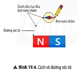 Em hãy xác định cực Bắc và Nam của kim nam châm trong Hình 19.4 Cau Hoi Thao Luan 4 Trang 96 Khtn 7 Chan Troi 133833
