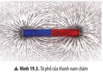 Hãy nhận xét về hình dạng đường sức từ Hình 19.5 Cau Hoi Thao Luan 5 Trang 96 Khtn 7 Chan Troi 133835