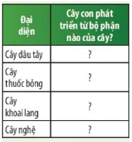 Quan sát Hình 37.2 và 37.5, hãy hoàn thành bảng sau Cau Hoi Thao Luan 6 Trang 167 Khtn 7 Chan Troi