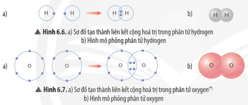 Dựa vào các Hình 6.5, 6.6 và 6.7, em hãy cho biết số electron lớp ngoài cùng Cau Hoi Thao Luan 6 Trang 40 Khtn 7 Chan Troi 133679