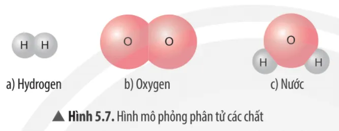 Quan sát Hình 5.7, em hãy cho biết phân tử chất nào là phân tử đơn chất Cau Hoi Thao Luan 7 Trang 35 Khtn 7 Chan Troi 133657