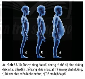 Chế độ dinh dưỡng có liên quan đến sự phát triển về thể trạng của các em bé Cau Hoi Thao Luan 8 Trang 161 Khtn 7 Chan Troi