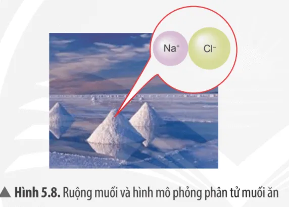 Muối ăn (Hình 5.8) là đơn chất hay hợp chất? Vì sao? Cau Hoi Thao Luan 8 Trang 35 Khtn 7 Chan Troi 133658