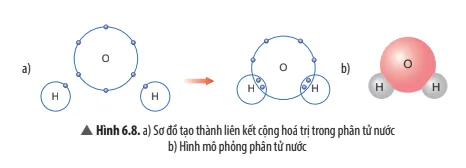 Quan sát Hình 6.8, em hãy cho biết số electron dùng chung của nguyên tử H và nguyên tử O Cau Hoi Thao Luan 8 Trang 41 Khtn 7 Chan Troi 133854