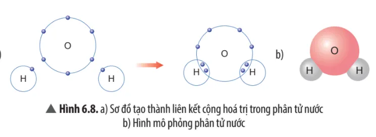 Em hãy mô tả quá trình tạo thành liên kết cộng hóa trị trong phân tử nước Cau Hoi Thao Luan 9 Trang 41 Khtn 7 Chan Troi 133685