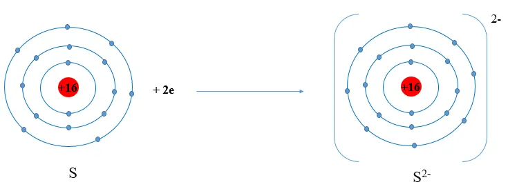 Xác định vị trí của sulfur trong bảng tuần hoàn và vẽ sơ đồ tạo thành ion sulfide Luyen Tap 1 Trang 39 Khtn 7 Chan Troi 133671