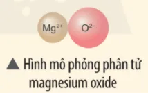 Hãy vẽ sơ đồ và mô tả quá trình tạo thành liên kết ion trong phân tử hợp chất magnesium oxide Luyen Tap 2 Trang 39 Khtn 7 Chan Troi 133672