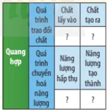 Hoàn thành bảng thông tin sau Luyen Tap Trang 109 Khtn 7 Chan Troi