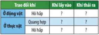 Hoàn thành thông tin về sự trao đổi khí ở động vật Luyen Tap Trang 123 Khtn 7 Chan Troi