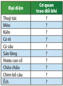 Xác định các cơ quan trao đổi khí của các sinh vật trong bảng  Luyen Tap Trang 127 Khtn 7 Chan Troi 1