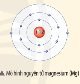 Quan sát mô hình dưới đây, cho biết số proton, số electron Luyen Tap Trang 17 Khtn 7 Chan Troi 133627