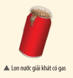 Carbon dioxide là thành phần tạo ra bọt khí trong nước giải khát có gas Luyen Tap Trang 35 Khtn 7 Chan Troi 133660