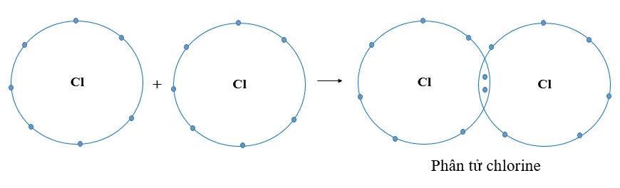 Vẽ sơ đồ hình thành liên kết cộng hóa trị trong các phân tử sau Luyen Tap Trang 41 Khtn 7 Chan Troi 133687