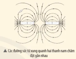 Từ hình ảnh của các đường sức từ (Hình 19.5), hãy nêu một phương pháp xác định Luyen Tap Trang 97 Khtn 7 Chan Troi 133837