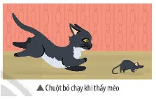 Từ xa xưa đến nay, chuột luôn sợ mèo Mo Dau Trang 150 Bai 33 Khtn 7 Ctst