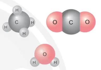 Ở hình bên, ta thấy 1 nguyên tử carbon liên kết với 4 nguyên tử hydrogen Mo Dau Trang 45 Bai 7 Khtn 7 Ctst 133709