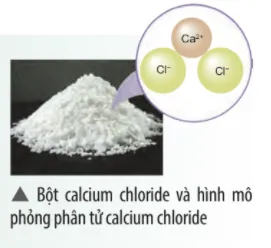 Calcium chloride có nhiều ứng dụng trong đời sống Van Dung Trang 39 Khtn 7 Chan Troi 133674