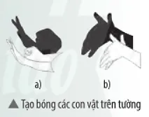 Đặt một đèn bàn chiếu sáng vào tường. Đưa bàn tay của em chắn chùm ánh sáng Van Dung Trang 81 Khtn 7 Chan Troi 133801