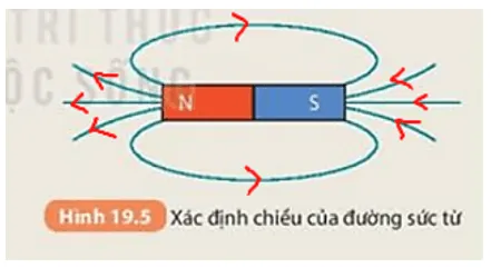 Xác định chiều đường sức từ của một nam châm thẳng trong Hình 19.5 (ảnh 7) A Sua Bai 19 Tu Truong 132664