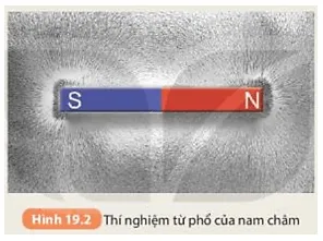 Các mạt sắt xung quanh nam châm (Hình 19.2) được sắp xếp thành những đường như thế nào? (ảnh 3) Bai 19 Tu Truong 132660