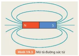 Dùng bút tô dọc theo các đường mạt sắt nối từ cực nọ sang cực kia của nam châm (ảnh 4) Bai 19 Tu Truong 132661