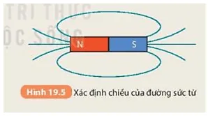 Xác định chiều đường sức từ của một nam châm thẳng trong Hình 19.5 (ảnh 6) Bai 19 Tu Truong 132663