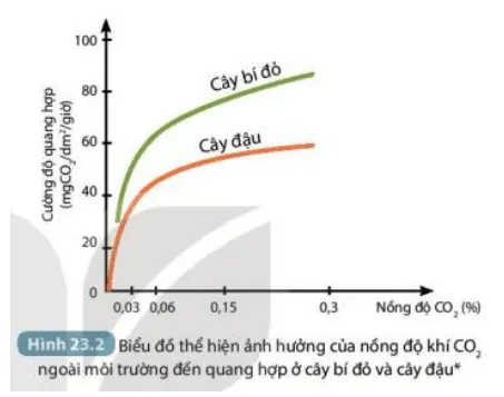 Quan sát Hình 23.2 và cho biết ảnh hưởng của nồng độ khí CO2 đến quang hợp (ảnh 2) Bai 23 Mot So Yeu To Anh Huong Den Quang Hop 132700