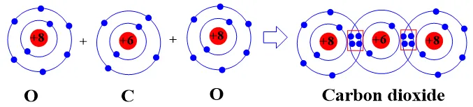 Hãy mô tả sự hình thành liên kết cộng hóa trị trong phân tử carbon dioxide, ammonia (ảnh 1) Cau Hoi 2 Trang 39 Khoa Hoc Tu Nhien 7 Ket Noi 131432