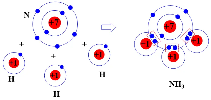 Hãy mô tả sự hình thành liên kết cộng hóa trị trong phân tử carbon dioxide, ammonia (ảnh 1) Cau Hoi 2 Trang 39 Khoa Hoc Tu Nhien 7 Ket Noi 131433