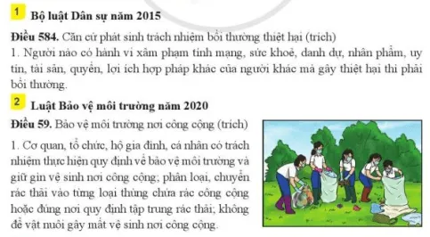 Các điều khoản trong Bộ luật Dân sự và Luật Bảo vệ môi trường là những quy định dành cho ai? Cau Hoi Trang 119 Kinh Te Phap Luat 10