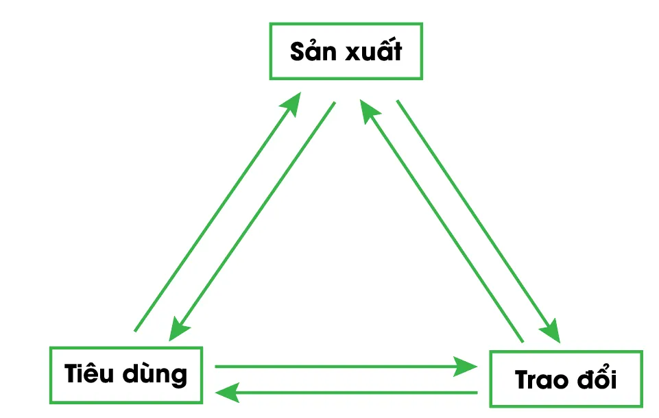 Em hãy vẽ sơ đồ mô tả mối quan hệ giữa các hoạt động sản xuất, hoạt động mua và bán Luyen Tap 3 Trang 11 Kinh Te Phap Luat 10