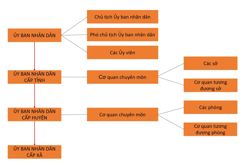 Vẽ sơ đồ thể hiện cơ cấu tổ chức của Ủy ban nhân dân Cau Hoi 2 Trang 113 Kinh Te Phap Luat 10 1