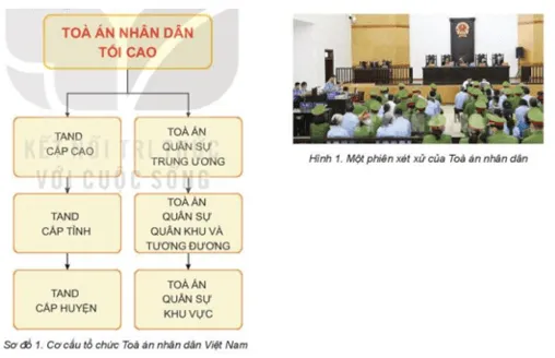 Dựa vào sơ đồ 1 và hình 1, em hãy trình bày cơ cấu tổ chức Cau Hoi Trang 142 Kinh Te Phap Luat 10