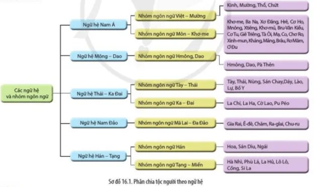 Đọc thông tin và quan sát Sơ đồ 16.1 hãy: Trình bày khái niệm ngữ hệ Cau Hoi Trang 112 Lich Su 10 3