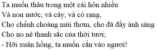 Bài thơ: Vội vàng (Xuân Diệu): nội dung, dàn ý phân tích, bố cục, tác giả | Ngữ văn lớp 11 Voi Vang 2