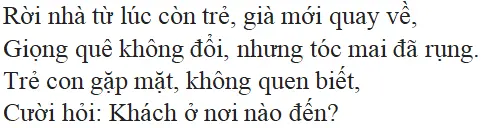 Bài thơ: Ngẫu nhiên viết nhân buổi mới về quê: nội dung, dàn ý, giá trị, bố cục, tác giả | Ngữ văn lớp 7 Ngau Nhien Viet Nhan Buoi Moi Ve Que 1