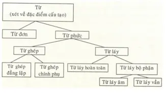 Soạn Văn lớp 9 | Để học tốt Ngữ Văn 9 Soan Bai Tong Ket Ve Tu Vung