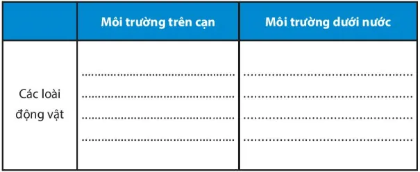 Bài 20. Sinh vật và sự phân bố các đới thiên nhiên. Rừng nhiệt đới Bai 20 Sinh Vat Va Su Phan Bo Cac Doi Thien Nhien Rung Nhiet Doi 57804