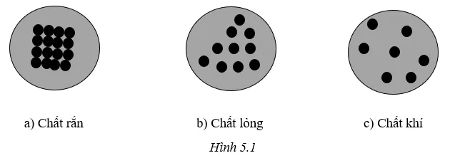 Sách bài tập Khoa học tự nhiên lớp 6 Bài 5: Sự đa dạng của chất | Giải SBT KHTN 6 Cánh diều Bai 5 Su Da Dang Cua Chat 65150