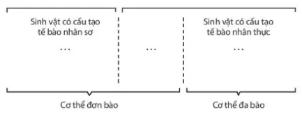 Bài 19: Cơ thể đơn bào và cơ thể đa bào Bai 19 Co The Don Bao Va Co The Da Bao 59430