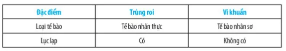 Bài 19: Cơ thể đơn bào và cơ thể đa bào Bai 19 Co The Don Bao Va Co The Da Bao 59432