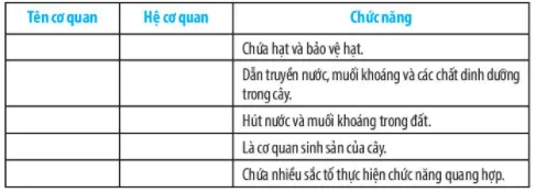 Bài 20: Các cấp độ tổ chức trong cơ thể đa bào Bai 20 Cac Cap Do To Chuc Trong Co The Da Bao 59450