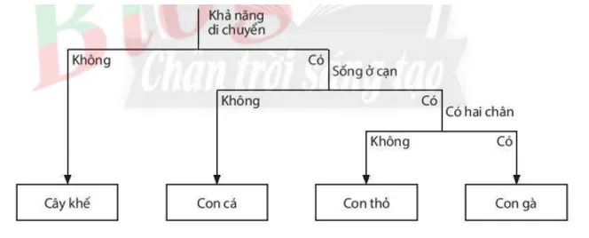 Bài 22: Phân loại thế giới sống Bai 22 Phan Loai The Gioi Song 59471