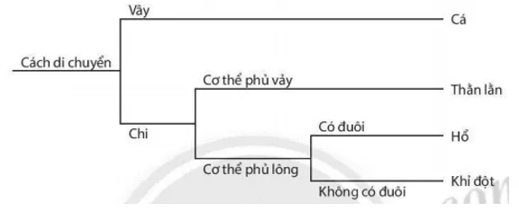 Bài 23: Thực hành xây dựng khóa lưỡng phân Bai 23 Thuc Hanh Xay Dung Khoa Luong Phan 59484