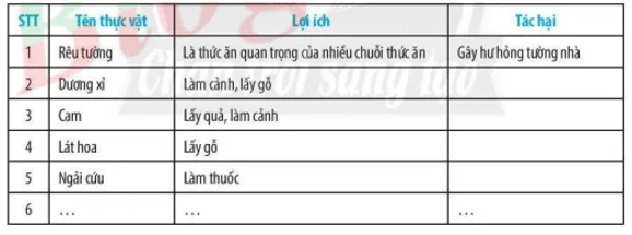 Bài 29: Thực vật Bai 29 Thuc Vat 59523